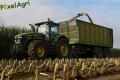 Ensilage de maïs (Lacroix)