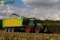 Ensilage de maïs (Schoonbroodt)