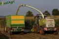 Ensilage de maïs (Lacroix)