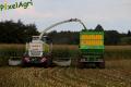 Ensilage de maïs (Schoonbroodt)