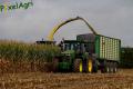 Ensilage de maïs (Evrard/Fortemps)