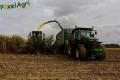 Ensilage de maïs (Evrard/Fortemps)