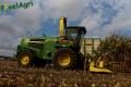 Ensilage de maïs (Evrard/Fortemps)