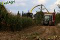 Ensilage de maïs (Evrard/Fortemps)