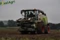 Ensilage de maïs (Otten)