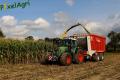 Ensilage de maïs (Evrard/Fortemps)