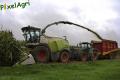 Ensilage de maïs (Otten)