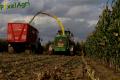 Ensilage de maïs (Evrard/Fortemps)