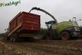 Ensilage de maïs (Otten)