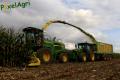 Ensilage de maïs (Evrard/Fortemps)