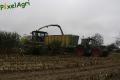 Ensilage de maïs (Otten)