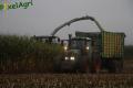 Ensilage de maïs (Otten)