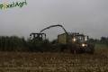Ensilage de maïs (Otten)