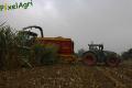 Ensilage de maïs (Otten)