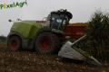 Ensilage de maïs (Otten)
