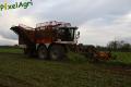Arrachage de betteraves (Herens)