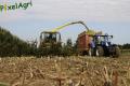 Ensilage de maïs (Herens)