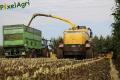 Ensilage de maïs (Herens)