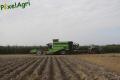 Arrachage de PDT 2013 (Fortemps)
