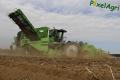 Arrachage de PDT 2013 (Fortemps)