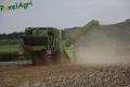Arrachage de PDT 2013 (Fortemps)