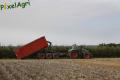Arrachage de PDT 2013 (Fortemps)