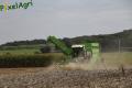 Arrachage de PDT 2013 (Fortemps)