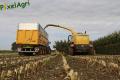 Ensilage de maïs (Herens)
