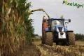 Ensilage de maïs (Herens)