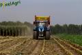 Ensilage de maïs (Herens)