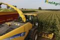 Ensilage de maïs (Herens)