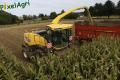 Ensilage de maïs (Herens)