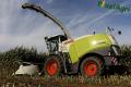 Ensilage de maïs (Ruwet)