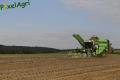 Arrachage de PDT 2013 (Fortemps)