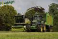 Ensilage d'herbe (London)