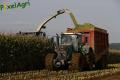 Ensilage de maïs (Ruwet)