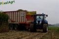 Ensilage de maïs (Herens)