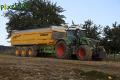 Arrachage de PDT 2013 (Fortemps)
