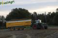 Arrachage de PDT 2013 (Fortemps)