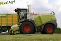 Ensilage d'herbe (London)