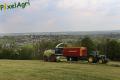 Ensilage d'herbe (London)