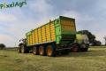 Ensilage d'herbe (London)