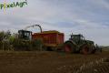 Ensilage de maïs (Ruwet)