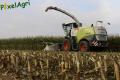 Ensilage de maïs 2013 (Etienne)