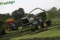 Ensilage d'herbe (London)