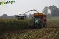 Ensilage de maïs 2013 (Etienne)