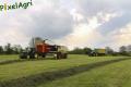 Ensilage d'herbe (London)