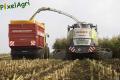 Ensilage de maïs 2013 (Etienne)