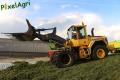 Ensilage d'herbe (London)