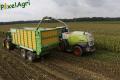 Ensilage de maïs 2013 (Etienne)